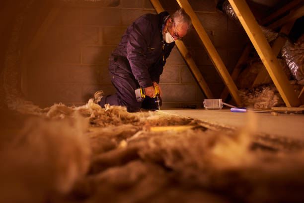 Best Types of Insulation in Farmville, VA